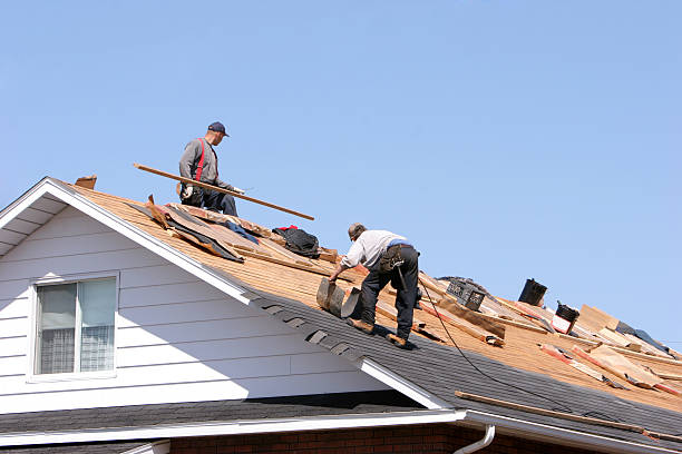 Best Steel Roofing  in Kenedy, TX